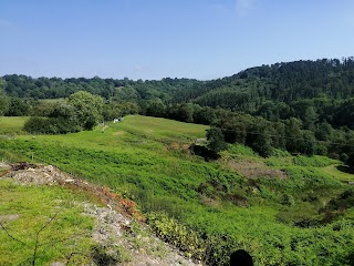 Kingsley Bird & Falconry Centre