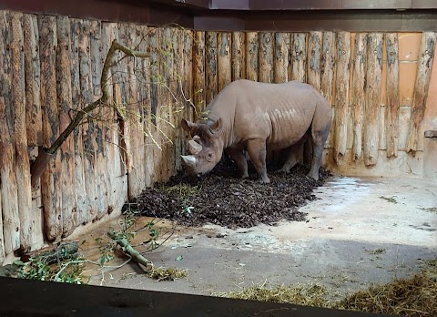 Paignton Zoo Environmental Park