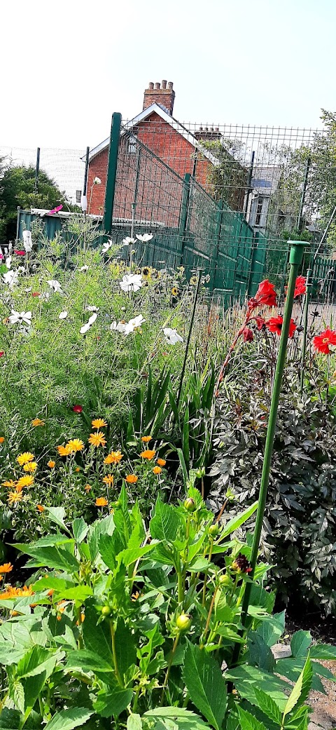 GROW - Waterworks Community Garden