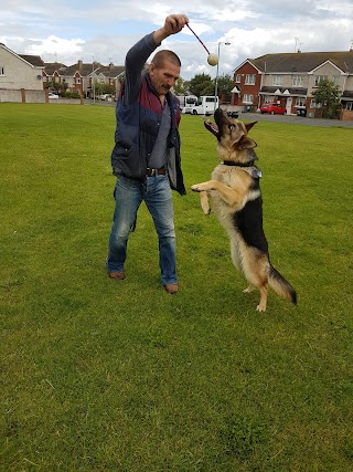 Happy Paw Training