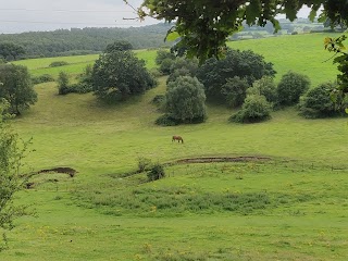 Ayranbrau Kennels & Cattery