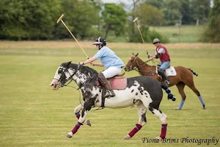 Stewarton Polo Club