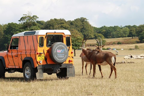 Westbury Wildlife Park Foundation