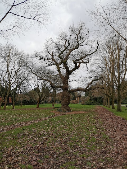 Solihull Malvern Park