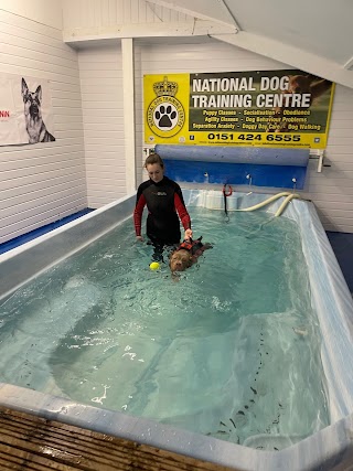 Bankhall k9 Swim - Liverpool - #nationaldogtrainingcentre