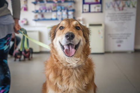 Shield Veterinary Centre