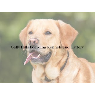 Gally Hills Boarding Kennels and Cattery