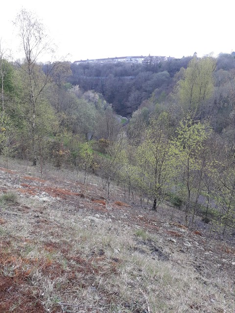 Parc Coetir Bargod (Bargoed Woodland Park)