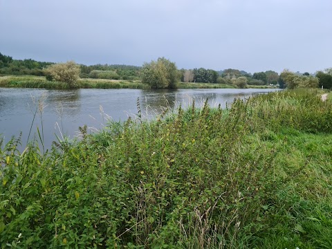 The Washlands Circular