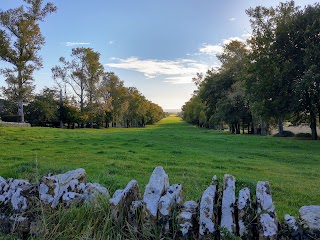 Church Farm