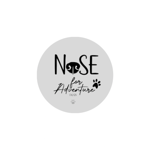 Nose For Adventure Dogs