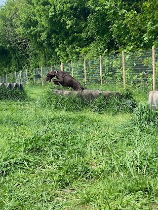 Bowcliffe Dog Enrichment Park