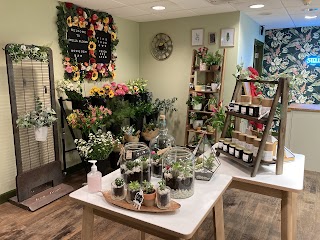 Stella Blooms Florists