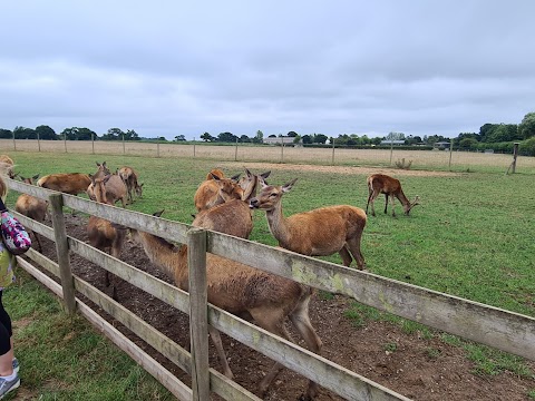 Bolderwood Deer Sanctuary