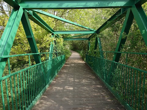 Attenborough Nature Reserve