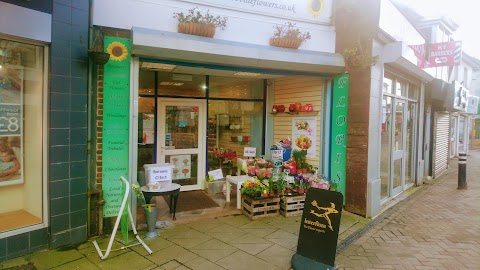 Waterlooville Flower Centre