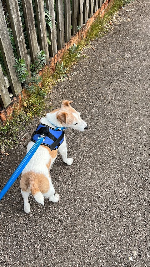 Oakham Veterinary Hospital