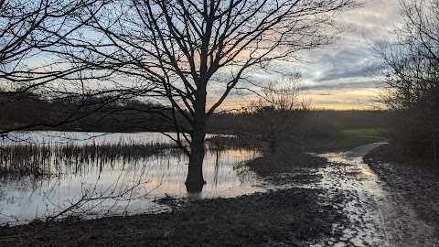 Saltersford Brook