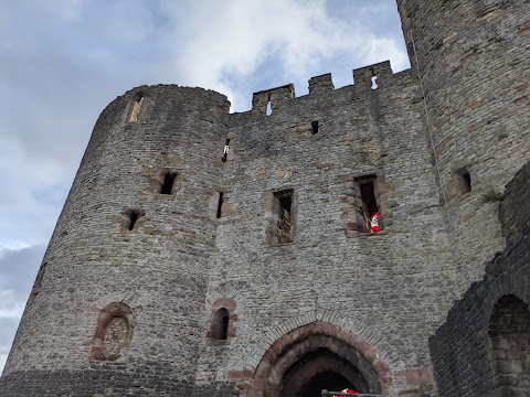 Dudley Zoo and Castle