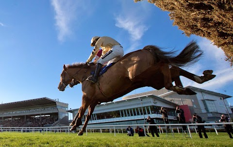 Leopardstown Racecourse