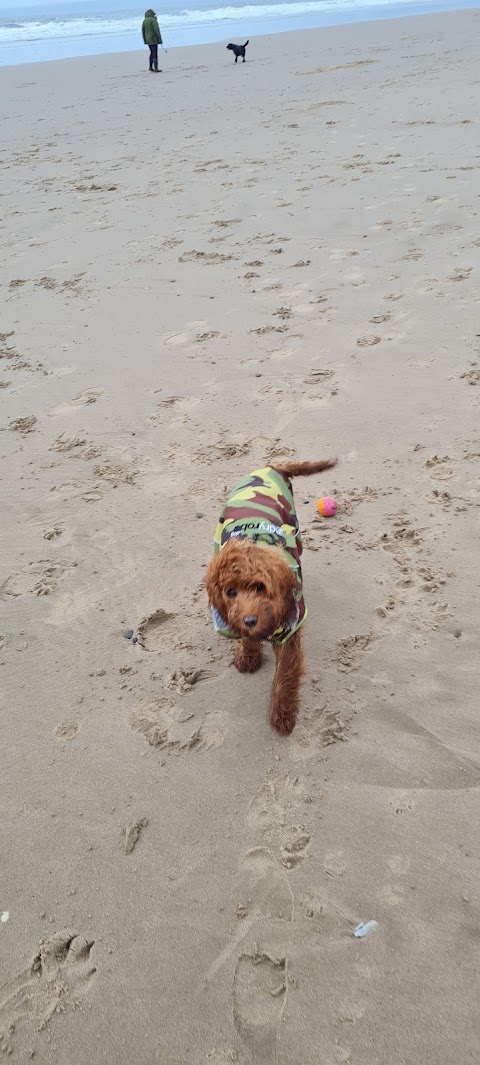 Aberavon beach