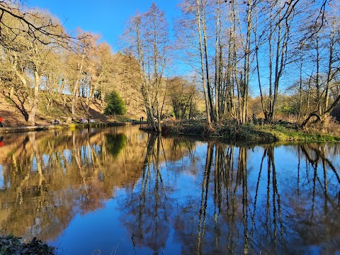 Forge Dam Park