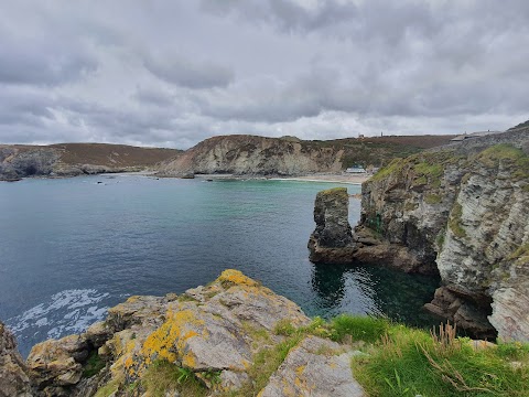 Cove Cottages