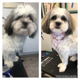 Bonnie's dog grooming