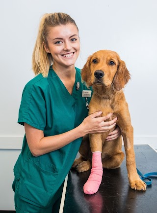 Braid Vets, Leith Walk