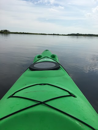 Norfolk Outdoor Adventures (SUP & Kayak Tours, Instruction & Hire )