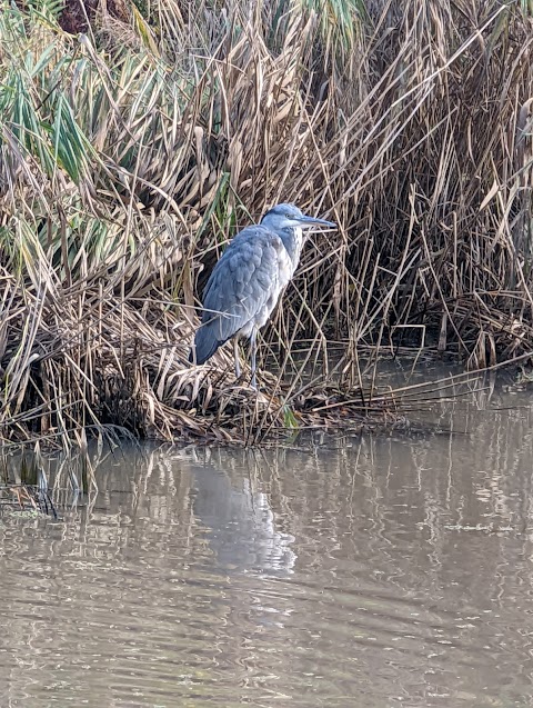 Sankey Valley Park