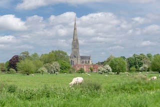 Harnham Water Meadows