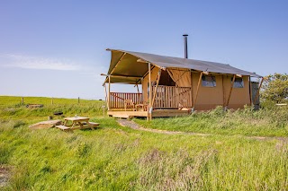 Under the Oak Glamping