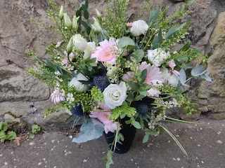 Juniper Flowers