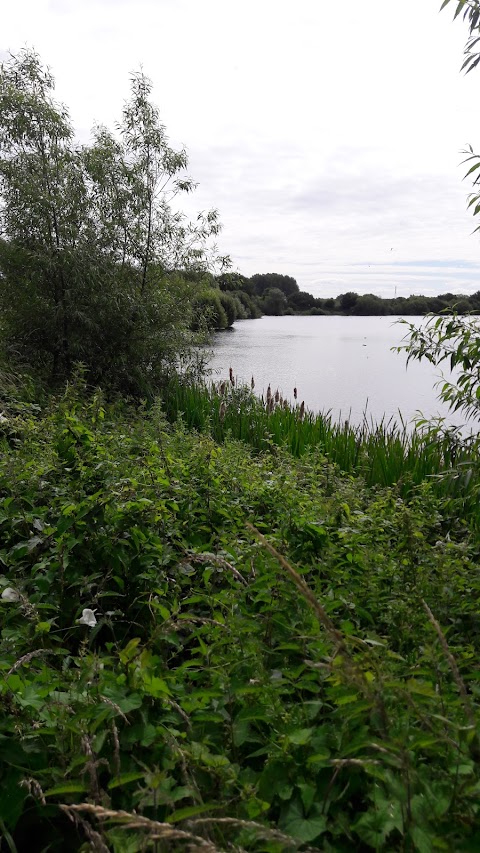 Broomey Croft Childrens Farm