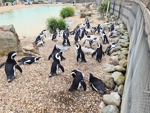 Whipsnade Zoo