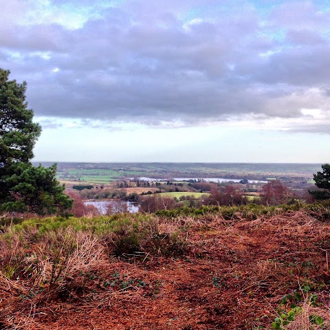 Robert Oulsnam and Company - Barnt Green