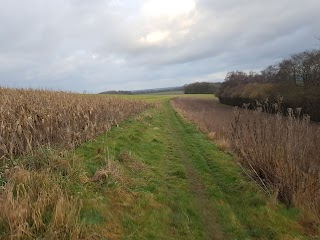 Beacon Hill National Nature Reserve