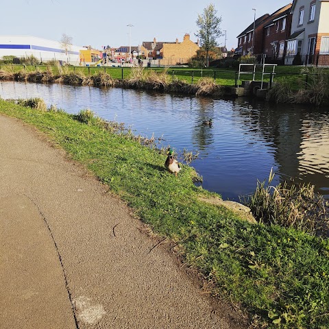 Aylestone Meadows Local Nature Reserve