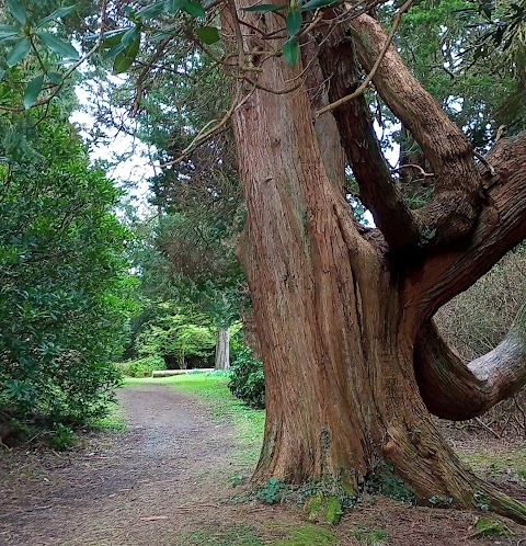 Gelli Aur Country Park