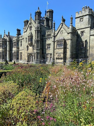 Margam Park Adventure