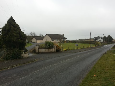 Daffodil Hill