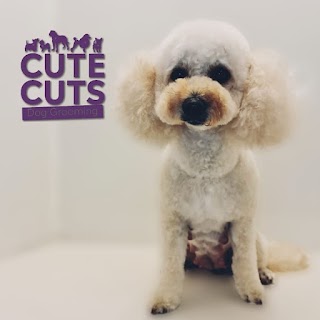 Cute Cuts Dog Grooming