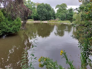 Rustic Bridge