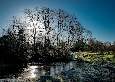 Rook's Nest Wood Country Park