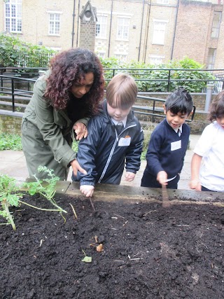 The Lloyd Williamson School