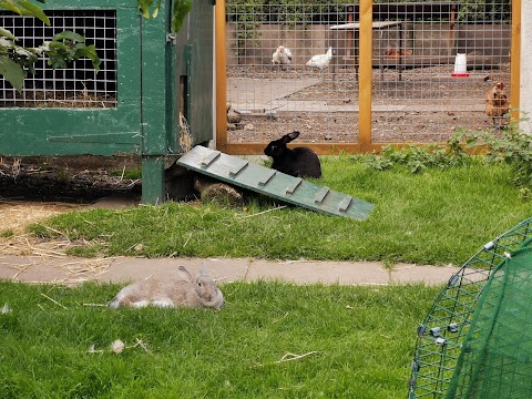 Balsall Heath City Farm