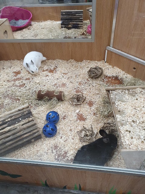 Pets at Home Bristol Filton