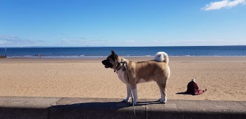 Crumbs of Portobello