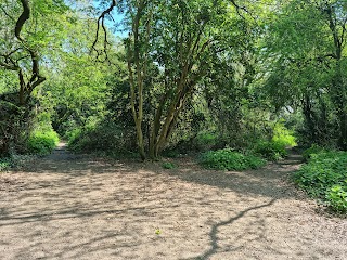 Nore Barn Woods. (Fowley Island- Emsworth)